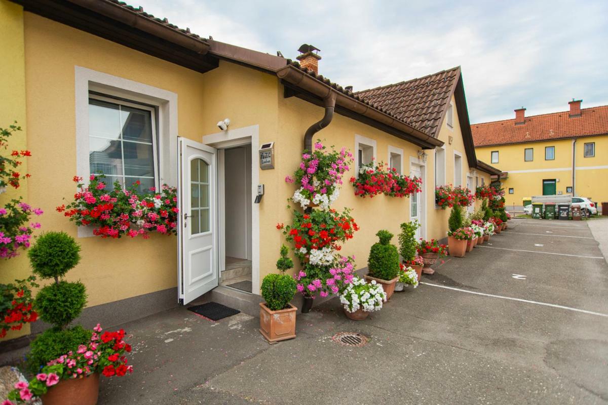 Apartamento Auszeit Leoben 1 Mit Terasse Und Gratis Parkplatz Exterior foto